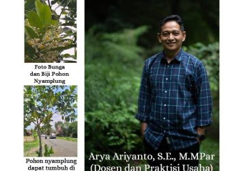 Pohon Nyamplung, Alternatif Energi Baru Terbarukan yang Lebih Unggul dari Sawit.