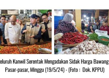 KPPU Seluruh Kantor Wilayah, Serentak Sidak Bawang Putih, Ini Faktanya