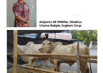 Idul Adha 1445 H, Bakpia Jogkem Grup Sembelih Hewan Kurban di Semua Outlet, Ini Faktanya