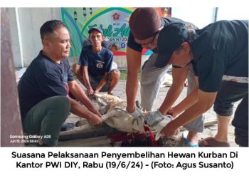 Panitia Idul Adha PWI DIY Sembelih 10 Ekor Kambing dan Kulit Disedekahkan, Ini Nyata