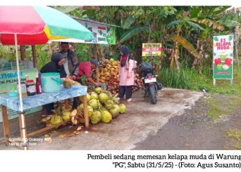 Es Klamud “PG”, Segarnya Kelapa Muda di Tengah Panasnya Piyungan