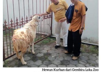 PWI DIY Sembelih 10 Ekor Kambing pada Idul Adha 2025