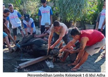 Makna Ikhlas Dalam Berkurban, Idul Adha 1446 H di Mushola Al-Muttaqien. Ini Buktinya!