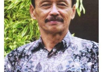 Mungkinkah DIY Memiliki Lumbung Beras?