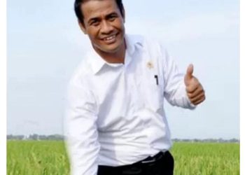 Mentan Amran Beberkan Penyebab Harga Beras Masih di Atas HET Meski Stok Surplus