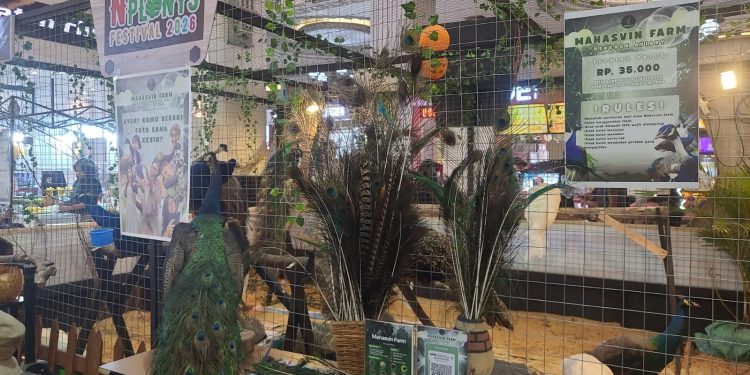 Stand Mahasvin Farm di JCM Pets n Plants Festival 2026. (Muhammad Abdul Azis)