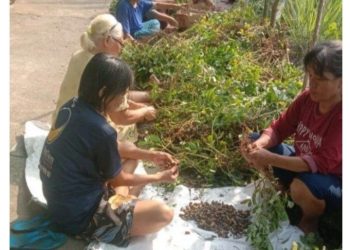 KWT Jengger Buktikan Perempuan Jadi Garda Terdepan Ketahanan Pangan