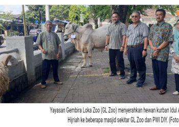 GL Zoo Serahkan Hewan Kurban untuk Masjid Sekitar dan PWI DIY