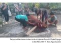 Peringati Idul Adha 1447 H, Mushola Al Muttaqien Pakelrejo Sembelih 1 Lembu dan 5 Kambing
