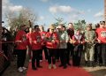 Filosofi Ketangguhan di Balik Lekuk Estetika, Catatan dari Handayani Bonsai Festival II